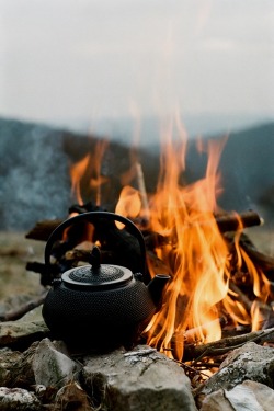 invocado:  spring.tea.fires ~ by "zazenit"