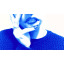 desriously-bliss-blog