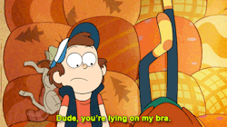 dulceelena2000:  some of the funniest jokes on gravity falls 