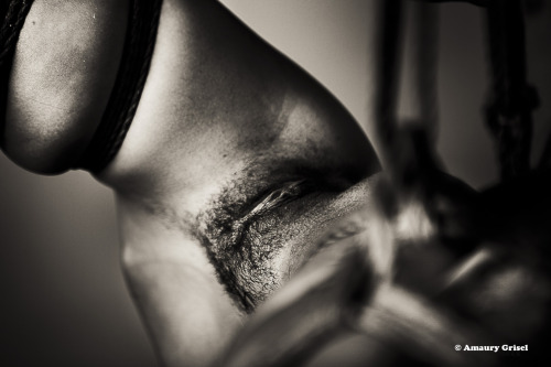 amaury-grisel-shibari:  Baby J. in my ropes … +closeup  Kinbaku by Amaury Grisel 