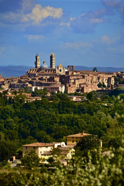 allthingseurope:Siena, Italy (by Antonio Cinotti)   Looks amazing 😎😎😎😎