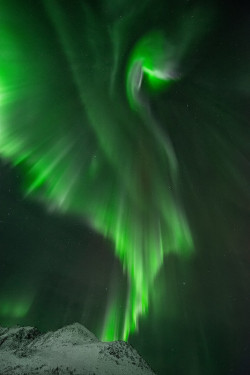 radivs:  'Aurora Dragon' by Raymo-Photography