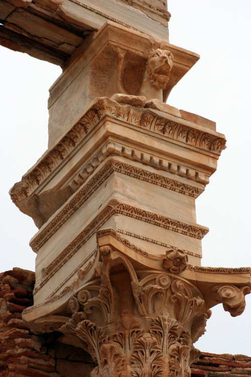 mostly-history:Corinthian capital of the Severan Basilica, with a winged griffinabove (Leptis Magna,