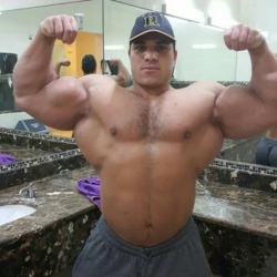 ARAB AND MIDDLE EASTERN MUSCLE