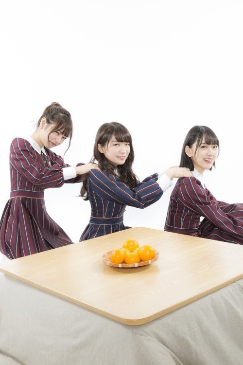 omiansary:  Nogi-chanshttp://news.walkerplus.com/article/96891/