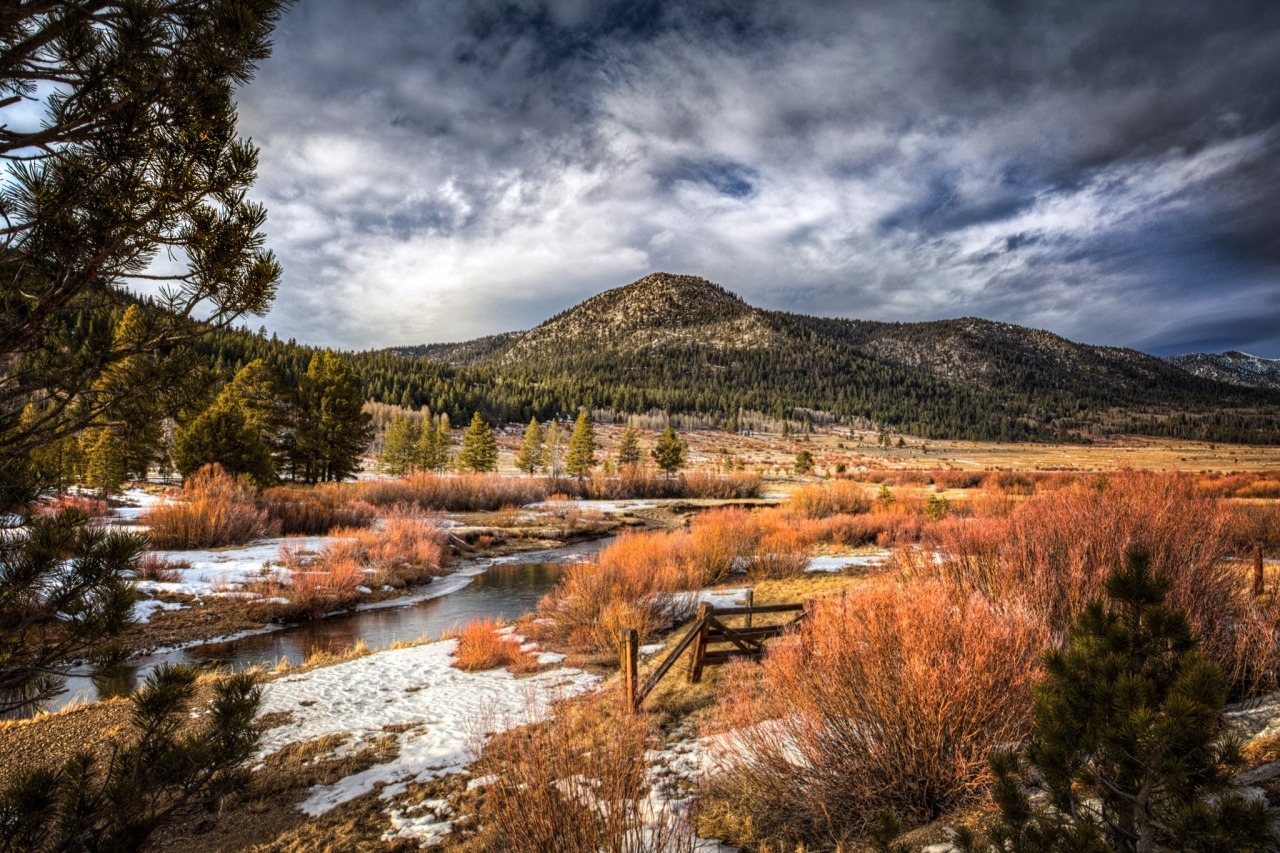 sublim-ature:  Eastern Sierra, CaliforniaRoy OBrien