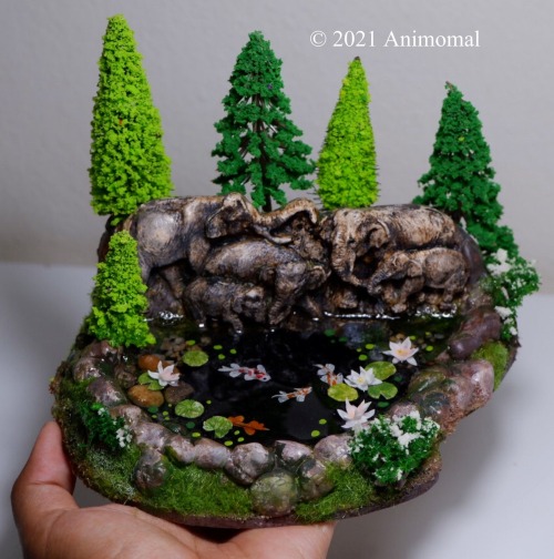 Miniature Koi Ponds