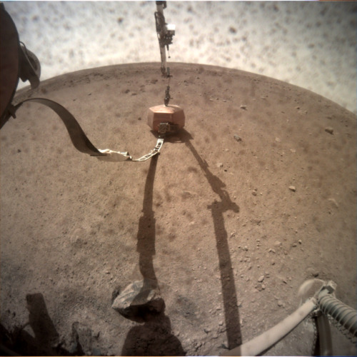 InSight: Sol 23 images are here, nothing dramatically new today, but the 4th photo shows just how sh