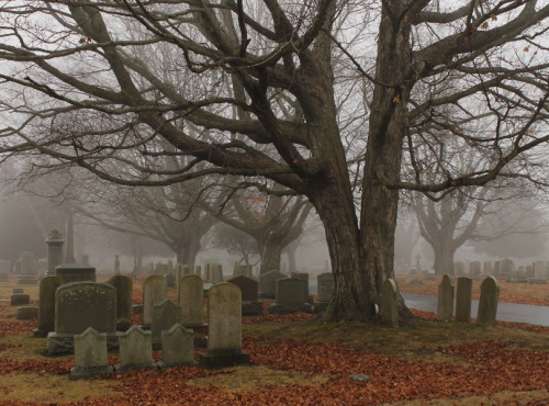 thebrassglass: Cedar Grove Cemetery, a 19th century burial ground in the coastal Connecticut city of