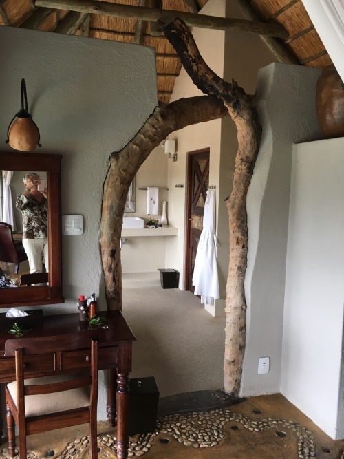 todancewithkings: Our beautiful room, Leopard Hills