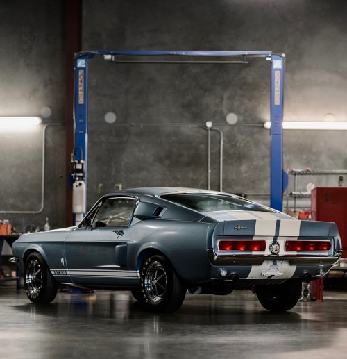 daolemutt: utwo: Shelby Mustang GT500© Courtney Frisk  Sweet ride…
