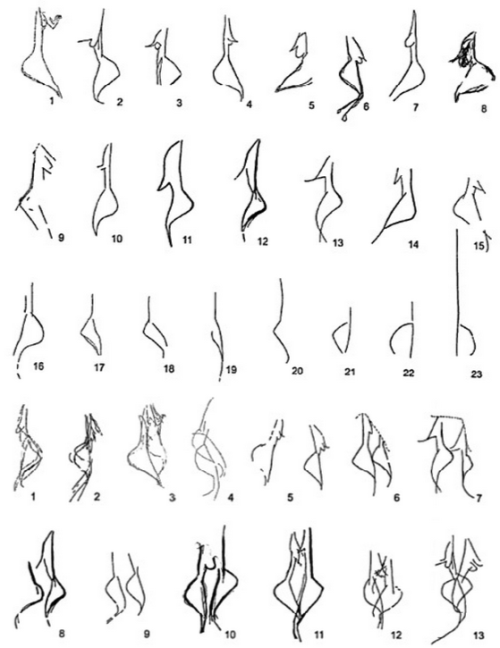 theolduvaigorge: Contextualising the female image - symbols for common ideas and communal identity i