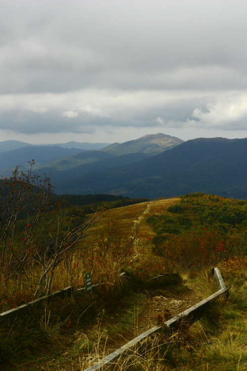 Carpathian mountain pasture BieszczadyPołonina Caryńska