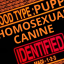 butchpupp