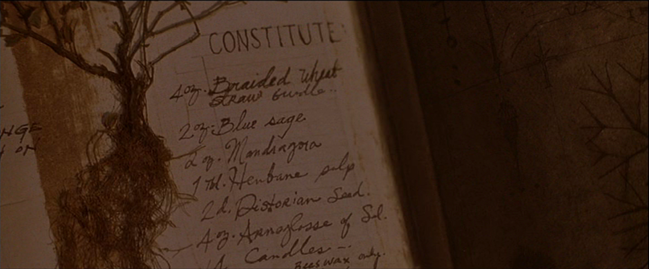 costumesinmovie:  Practical Magic (1998) Book of Magic Spells 