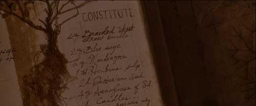 costumesinmovie:  Practical Magic (1998) Book of Magic Spells 