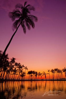 lifeisverybeautiful:Hawaiivia 500px / Palm Tree Reflections by Keith Kiska