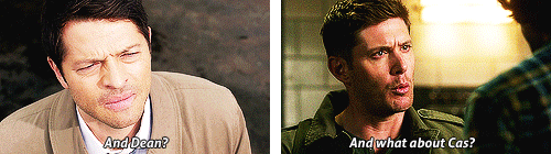 misha-ships-cockles: lovemesomedeanandcas: inacatastrophicmind: Requested by @woefulcas Yea totally 