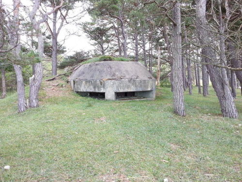 A WW2machine-gun bunker (Kulsprutebunker) near Brucebo (Gotland,Sweden).