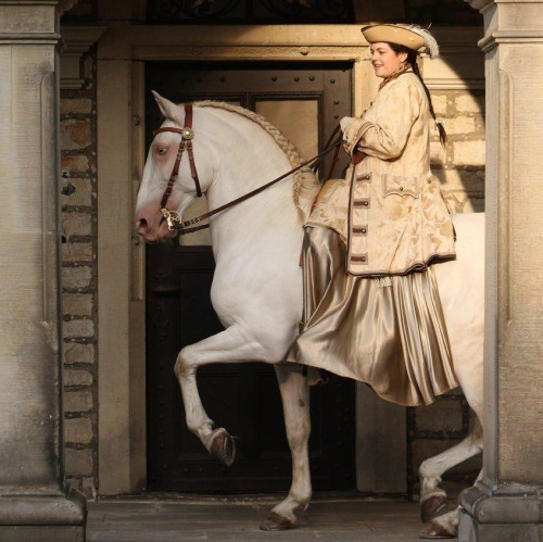 theclassicalhorse:Royal School of Riding in Bückeburg