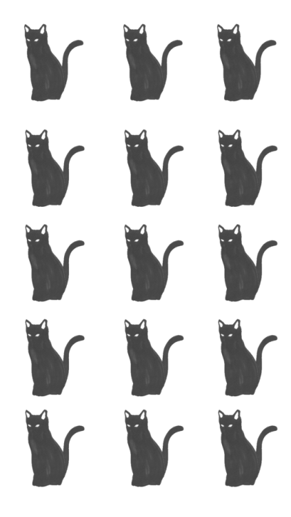 black cat screens for anonlike is used