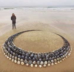 vizual-vibe:ourplanetdailySea inspired sculptures in Pembrokeshire, Which is your favourite?😍Photos & sculptures by @sculpttheworld from @oceans247