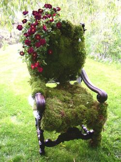 pomegranateandivy:  I am 100% okay with having garden chairs covered in moss with pretty flowers on them! 