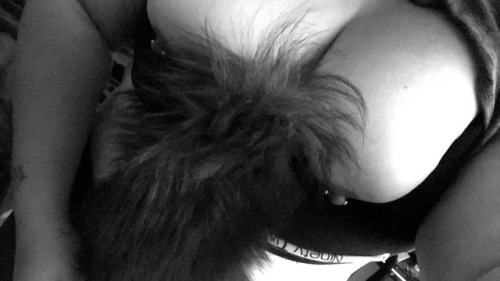 miss-thunderx: Tail butt plug is out to play on premium today