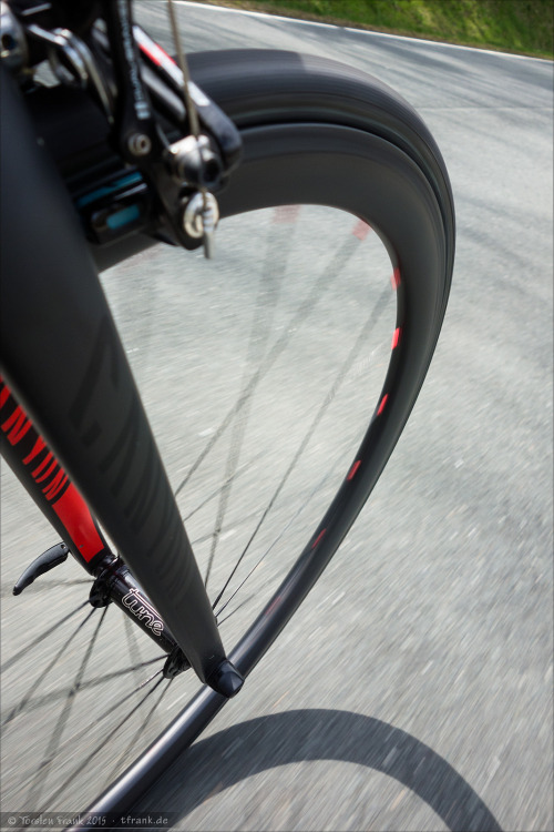 velophoto: ‘Canyon fork, Tune hub and Criterium rim’ by Torsten Frank