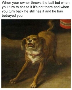 Classical Art Memes