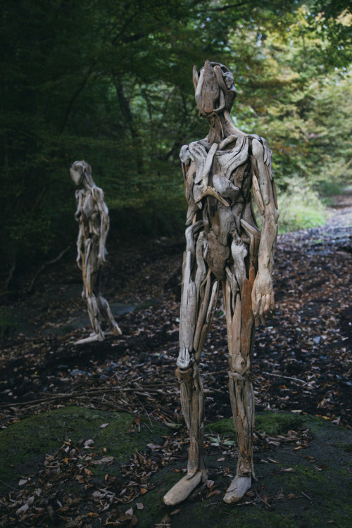 weareheartwood: Driftwood sculptures by Nagato Iwasaki Heartwood Tumblr | Instagram