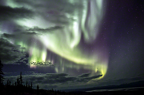 renamonkalou:Auroras