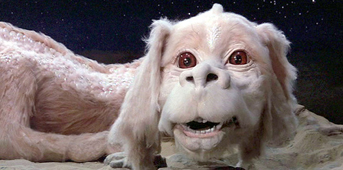 You’ve been visited by the Luck Dragon of Confirmation Bias!!