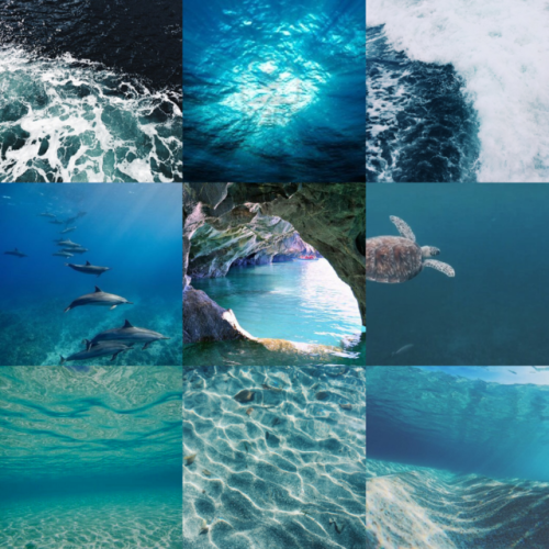 mooddboards: A moodboard for someone who misses the ocean Requests open!
