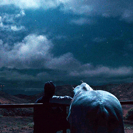 horrorfilmgifs:  NOPE (2022) dir. Jordan Peele