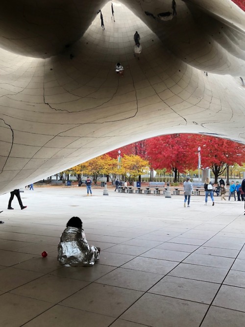 MILLENIUM PARK, IL: cloud gate.