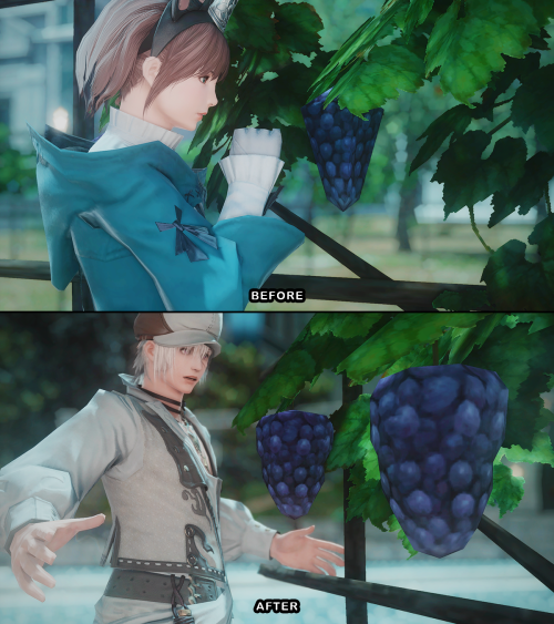 O-our precious low poly grapes.. are gone for real ;A;