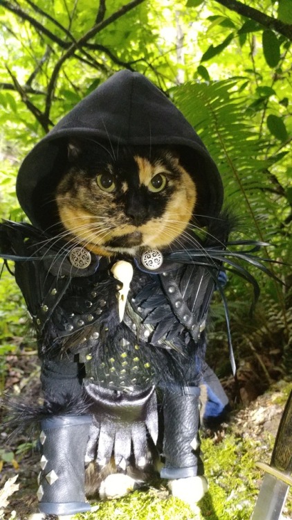 cat-cosplay:“Is this a Dagger, Dagger, Dagger which I see before me…” ~Vax'ildanDebuting Vax'ildan o
