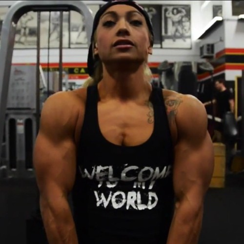 boltonsmusclesandcomics