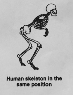 unclefather: godandanime:   godandanime:  unclefather: me sneaking to the fridge at 3 am to get Totinos pizza rolls same position as wh  what is the position the same as op   Same as me sneaking to the fridge at 3 am to get Totinos pizza rolls  