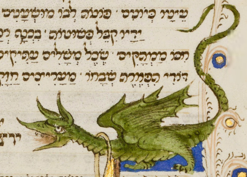 tzilahjewishcultureandhistory:Dragons!! Here are some examples of the dragons from the Medieval Rots