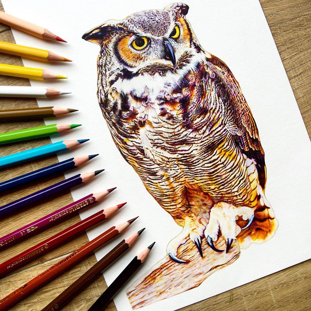 Finito! (Great Horned Owl) Hand drawn with Stabilo 'Aquacolour ...
