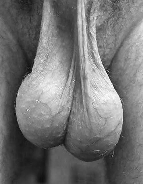 barebearx:  nick6520:  nick6520:  curlysuburban-urban:  abeautifulindiscretion:  Ballsy  Uncut  GREAT BALLS!!!!  what I would do with a pair of balls liketat, fuck„„„,  ~~~PLEASE FOLLOW ME ** ~~~~~~~~~ ♂♂OVER 38,500   FOLLOWERS   (Thank