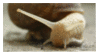 snailgifstamp