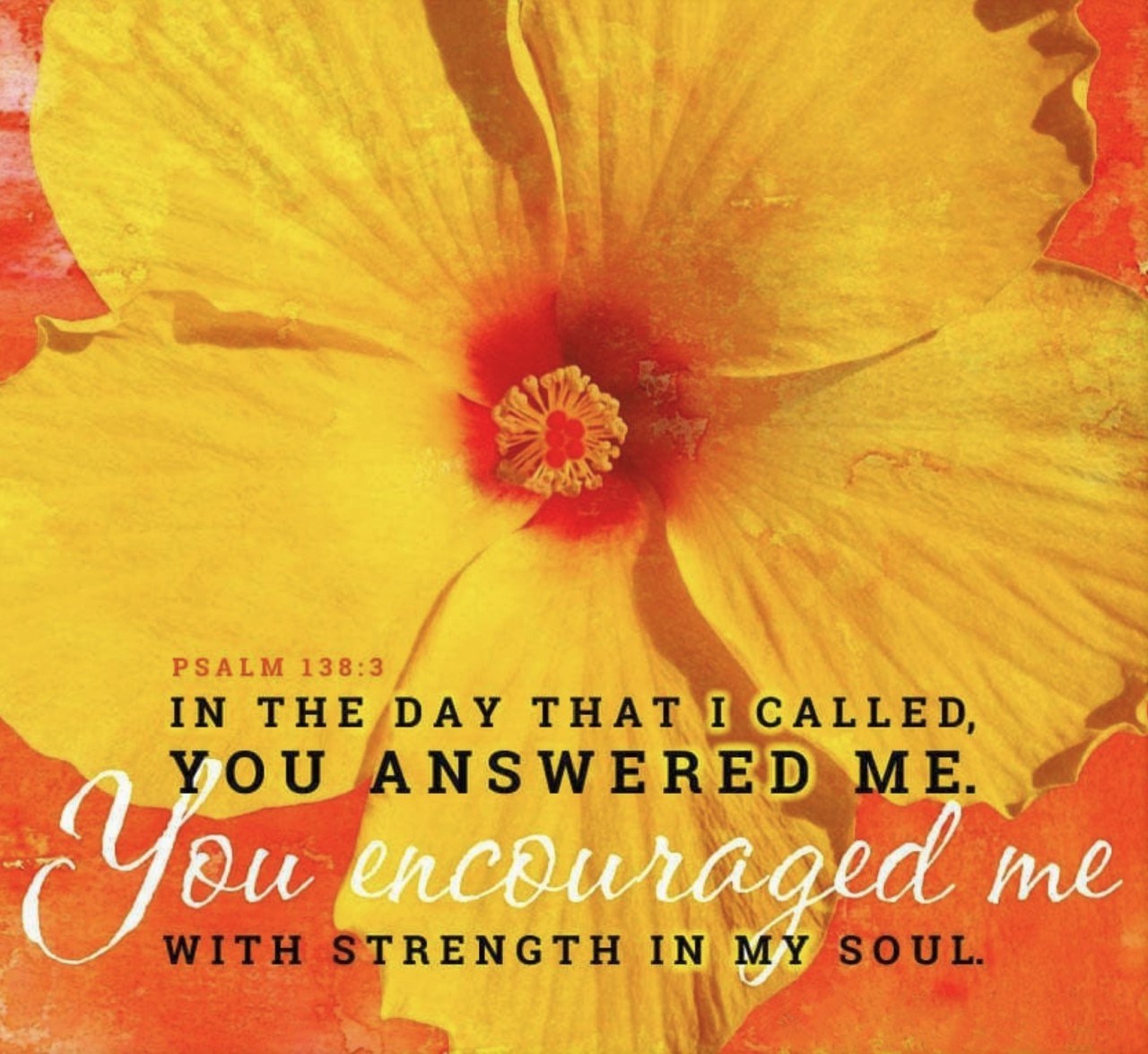 Psalm 138 8 Nlt JudahRhodri