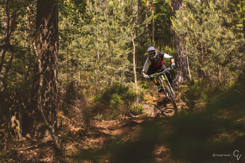 einerundesache: Lukas Hartung, Fast Forward Racing. Pic by Felix Weber.