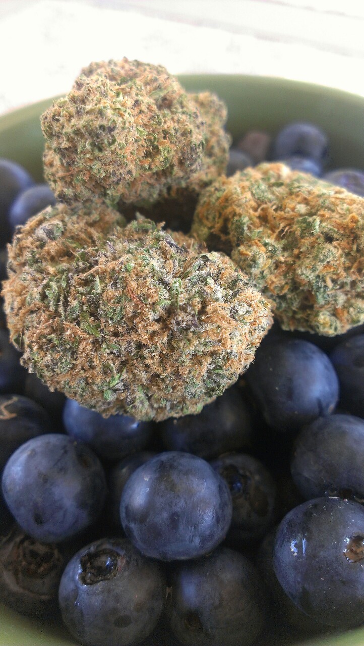 loveclaimedfame:  Blueberry Yum Yum