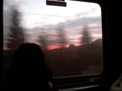 calvari-um:  watched the sunrise while i was on my way to Wien,12 hours of train was all worth it,loving this trip. 