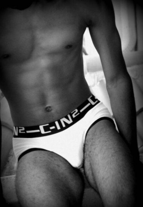 briefs