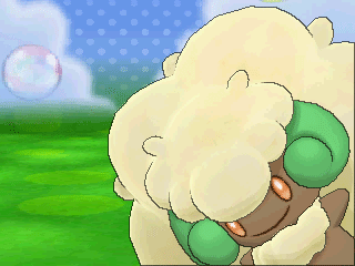 Shiny Hunter - VGC Player — Pokemon Amie - Whimsicott